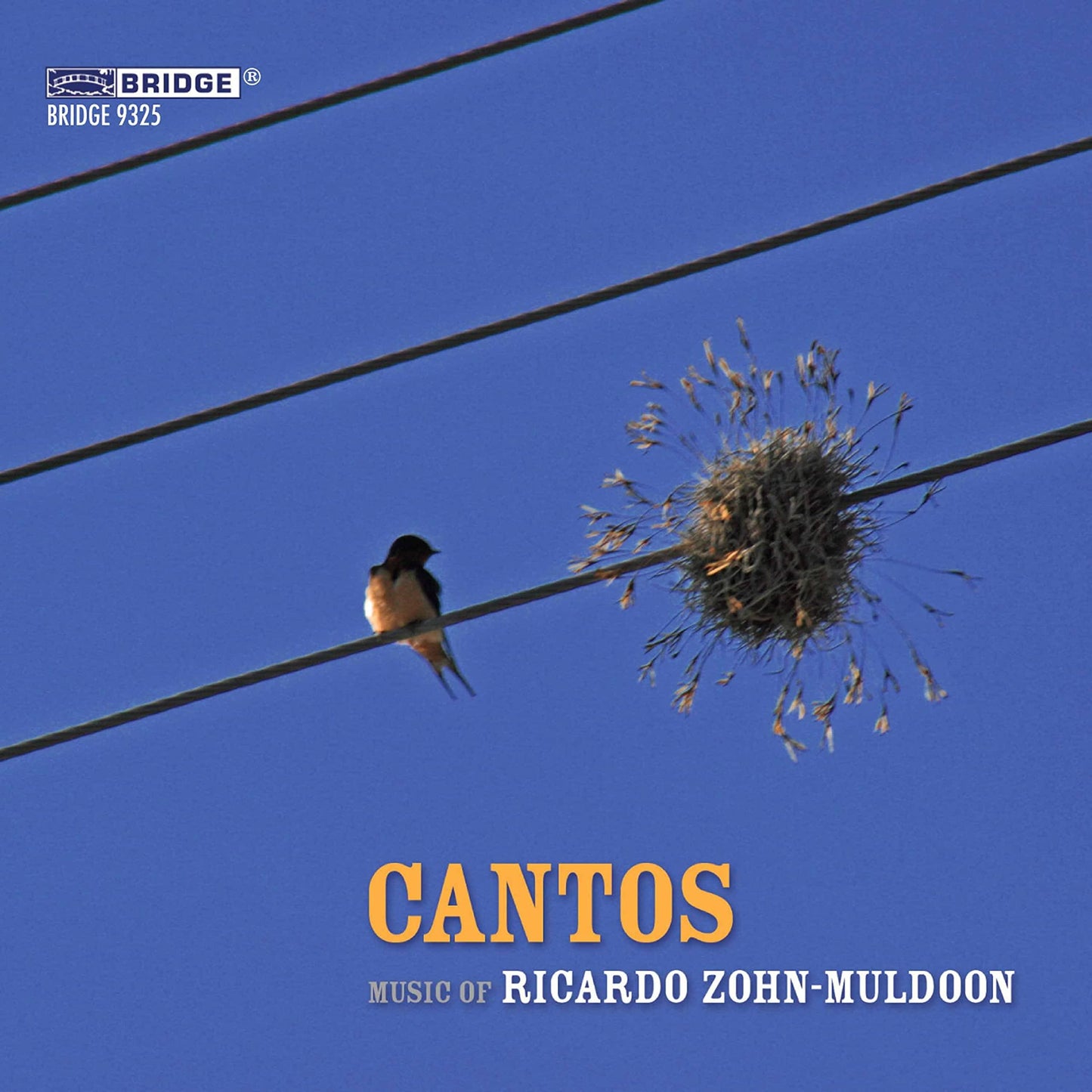 Various Artists - Zohn-Muldoon: Cantos - Cd