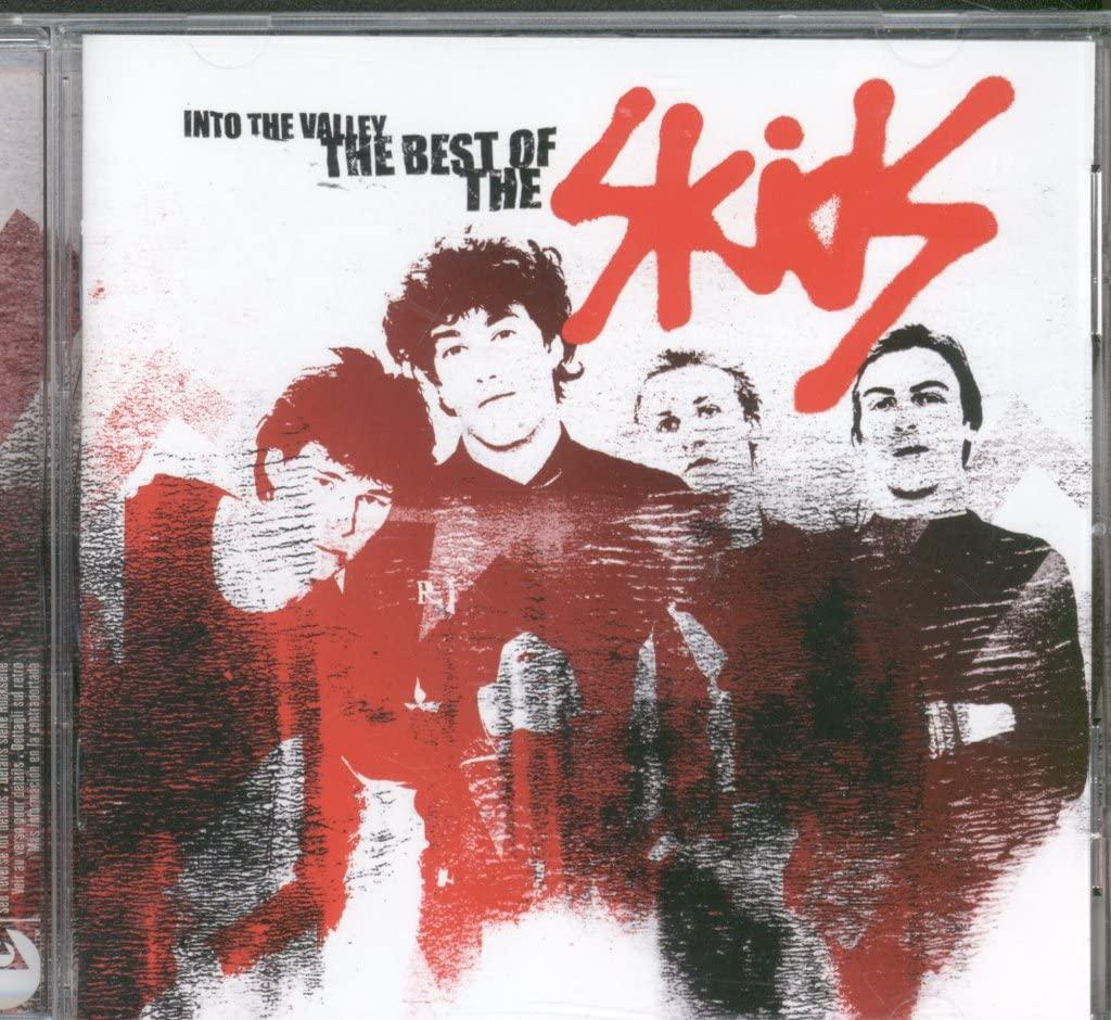 Skids - Skids Into the Valley: the Best of the Skids - Cd