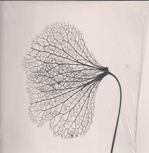 Lto - Storybook - Lp