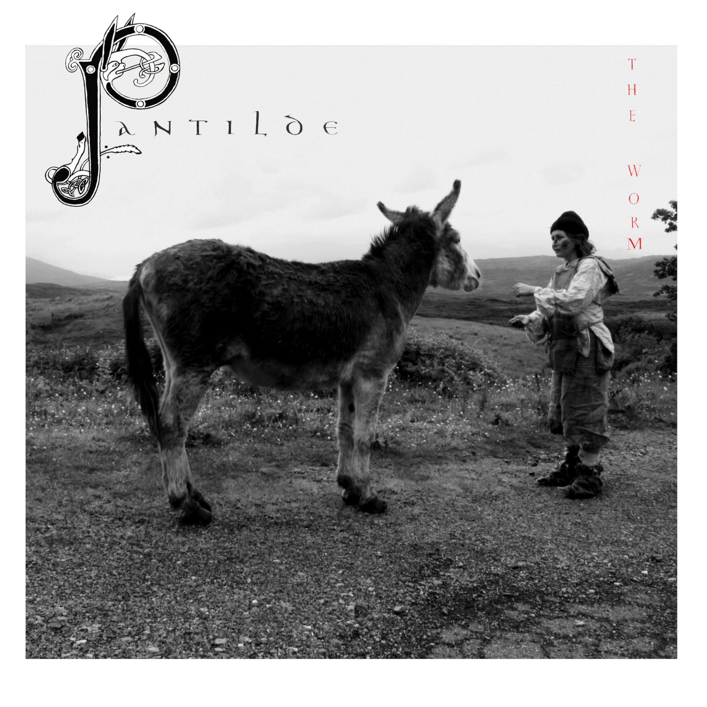 Worm - Pantilde - Lp