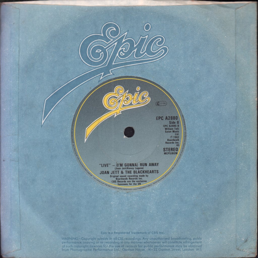 Joan Jett And The Blackhearts - You Don't Know What You've Got - 7 Inch