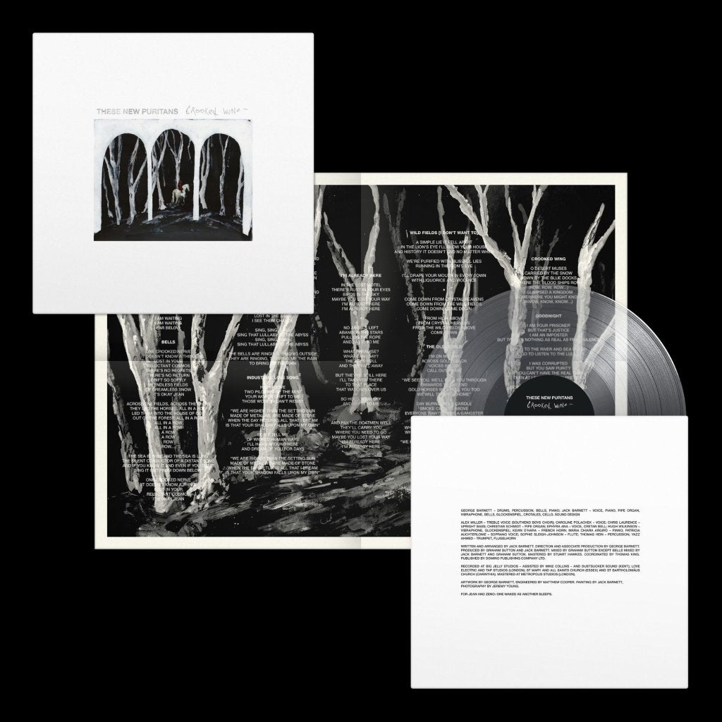 These New Puritans - Crooked Wing - Lp