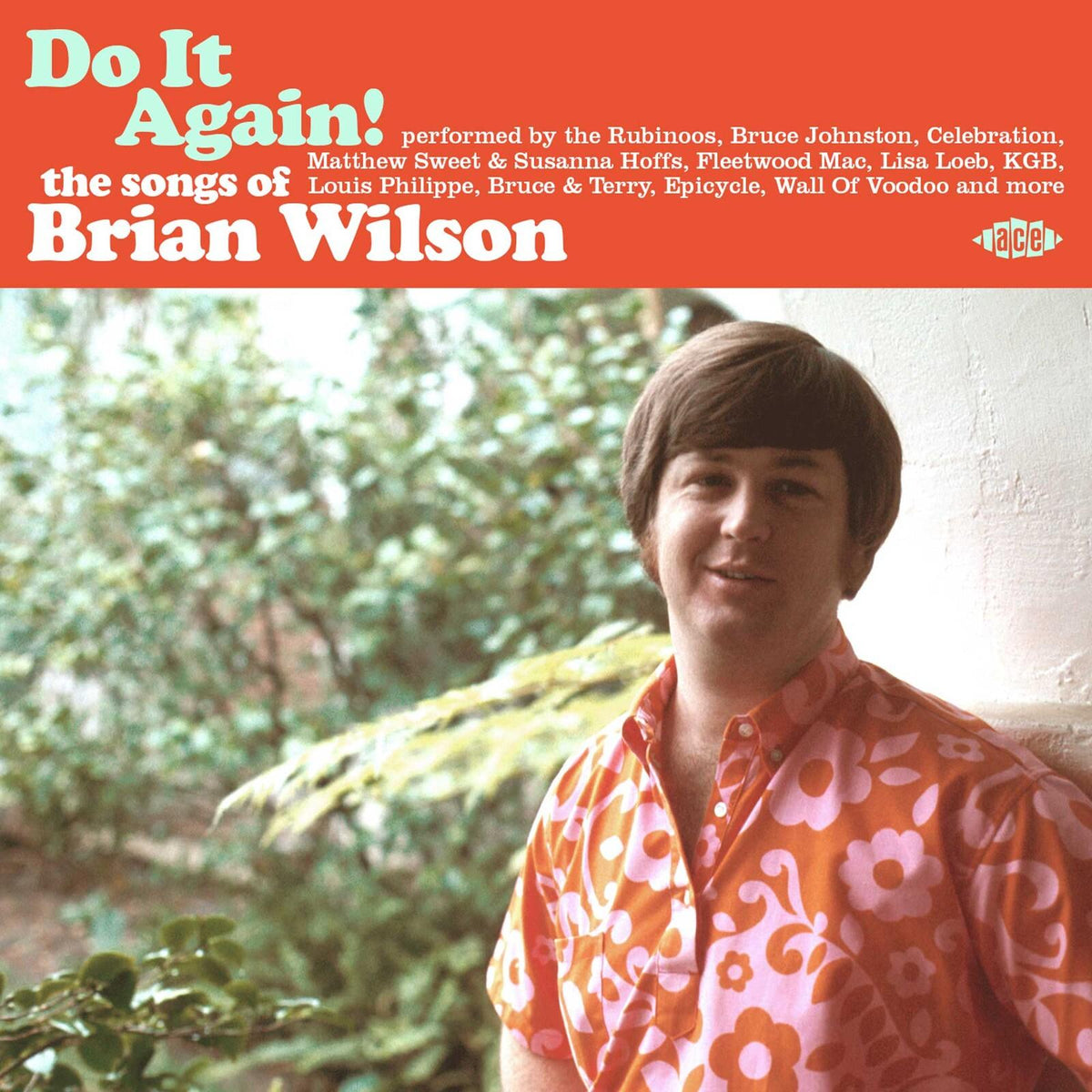 Various Artists - Do It Again! the Songs of Brian Wilson - Cd