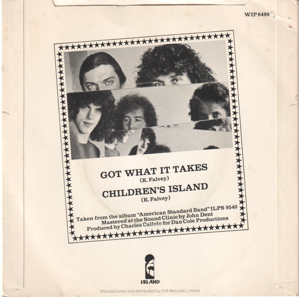 American Standard Band - Got What It Takes - 7 Inch