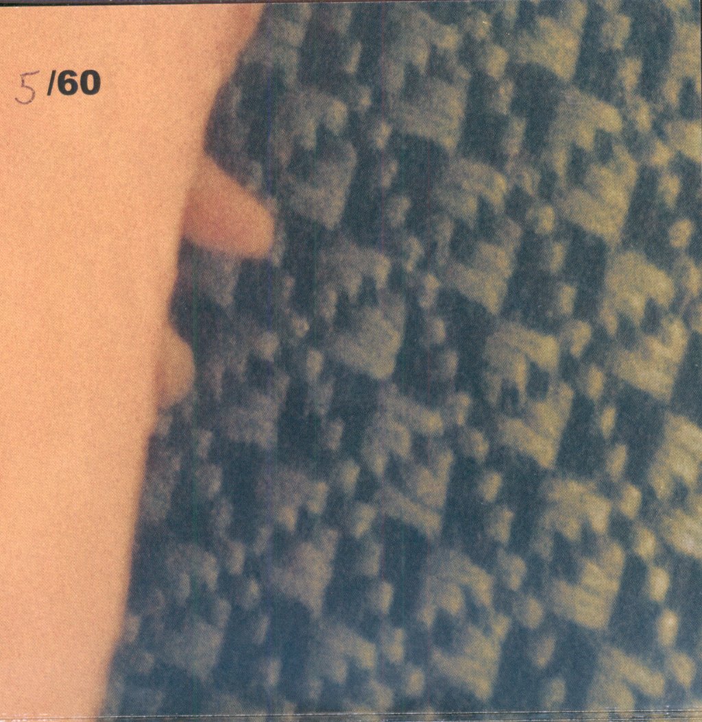 Meek / Glass - Molasses - Cdr