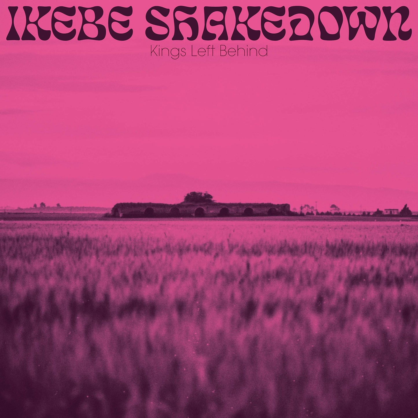 Ikebe Shakedown - Kings Left Behind - Cd