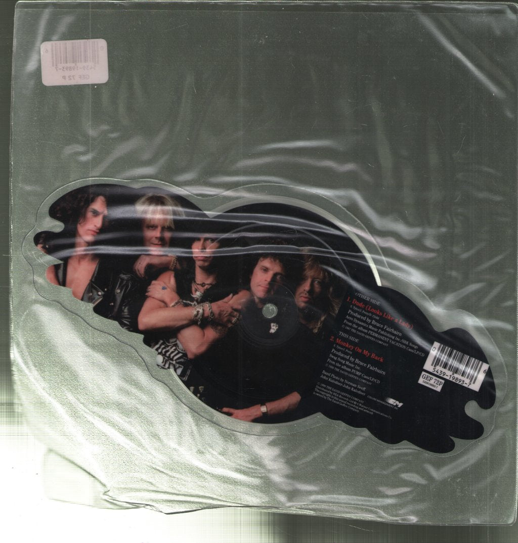 Aerosmith - Dude - 5 Inch