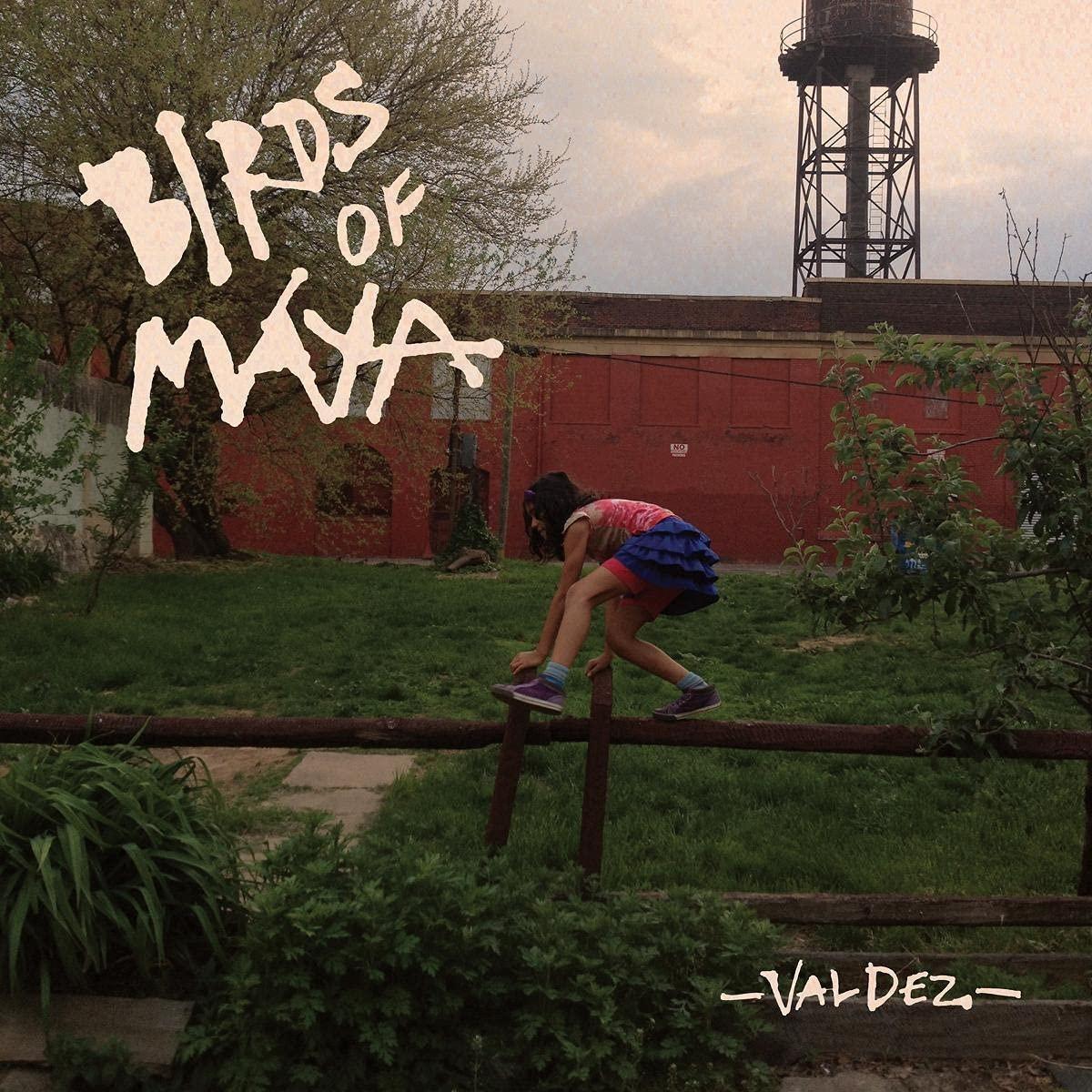 Birds Of Maya - Valdez - Lp