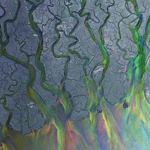 Alt-J - An Awesome Wave - Lp