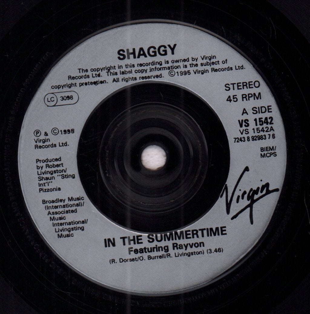 Shaggy - In The Summertime - 7 Inch