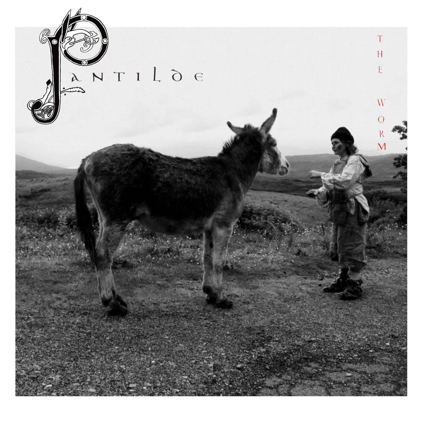 Worm - Pantilde - Cd