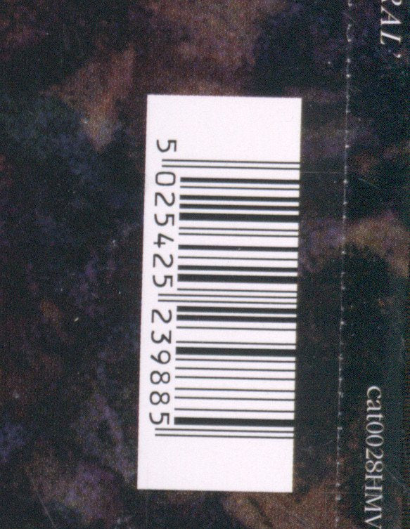 Violens - Amoral - Cd