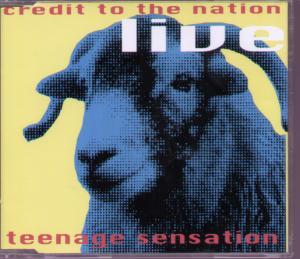 Credit To The Nation - Teenage Sensation - Cd