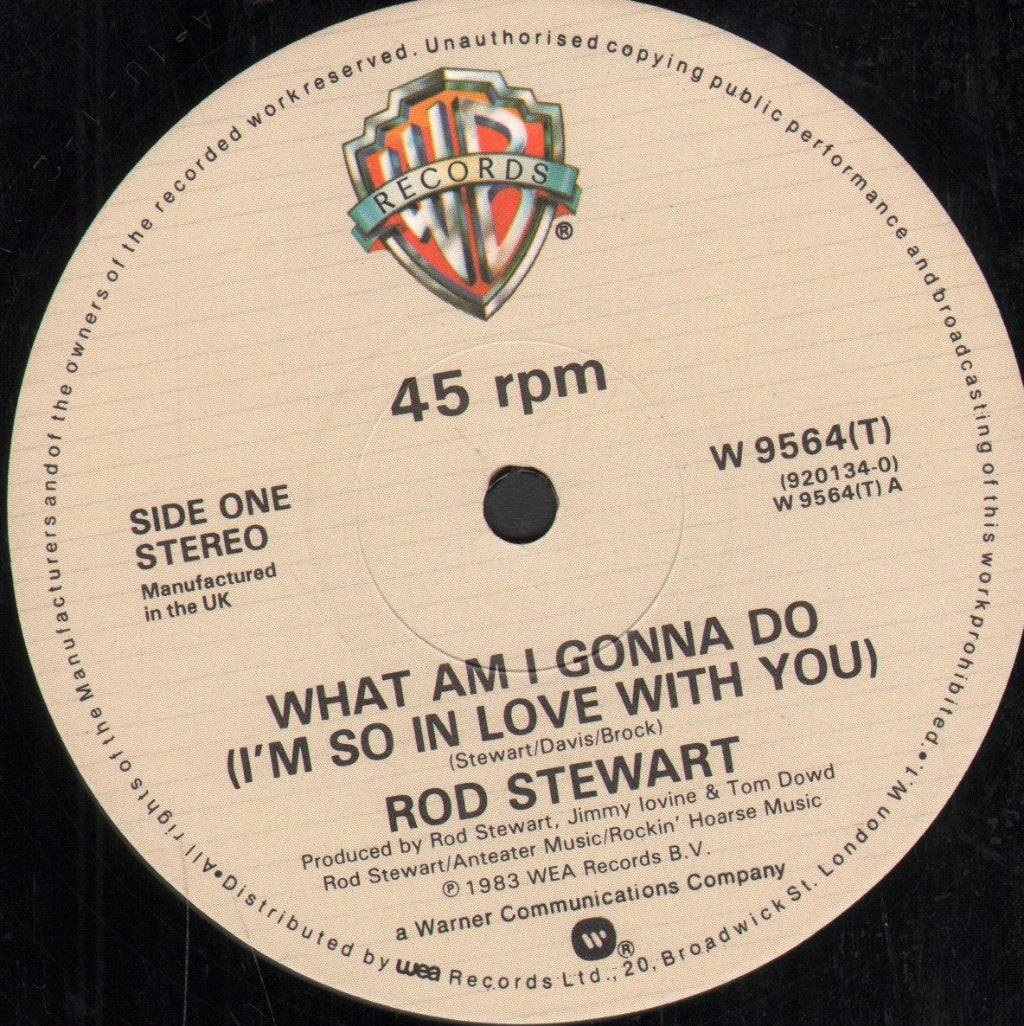 Rod Stewart - What Am I Gonna Do - 12 Inch