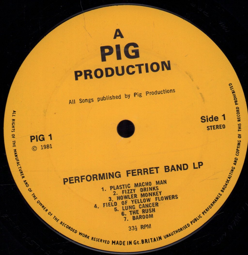 Performing Ferret Band - Lp - Lp