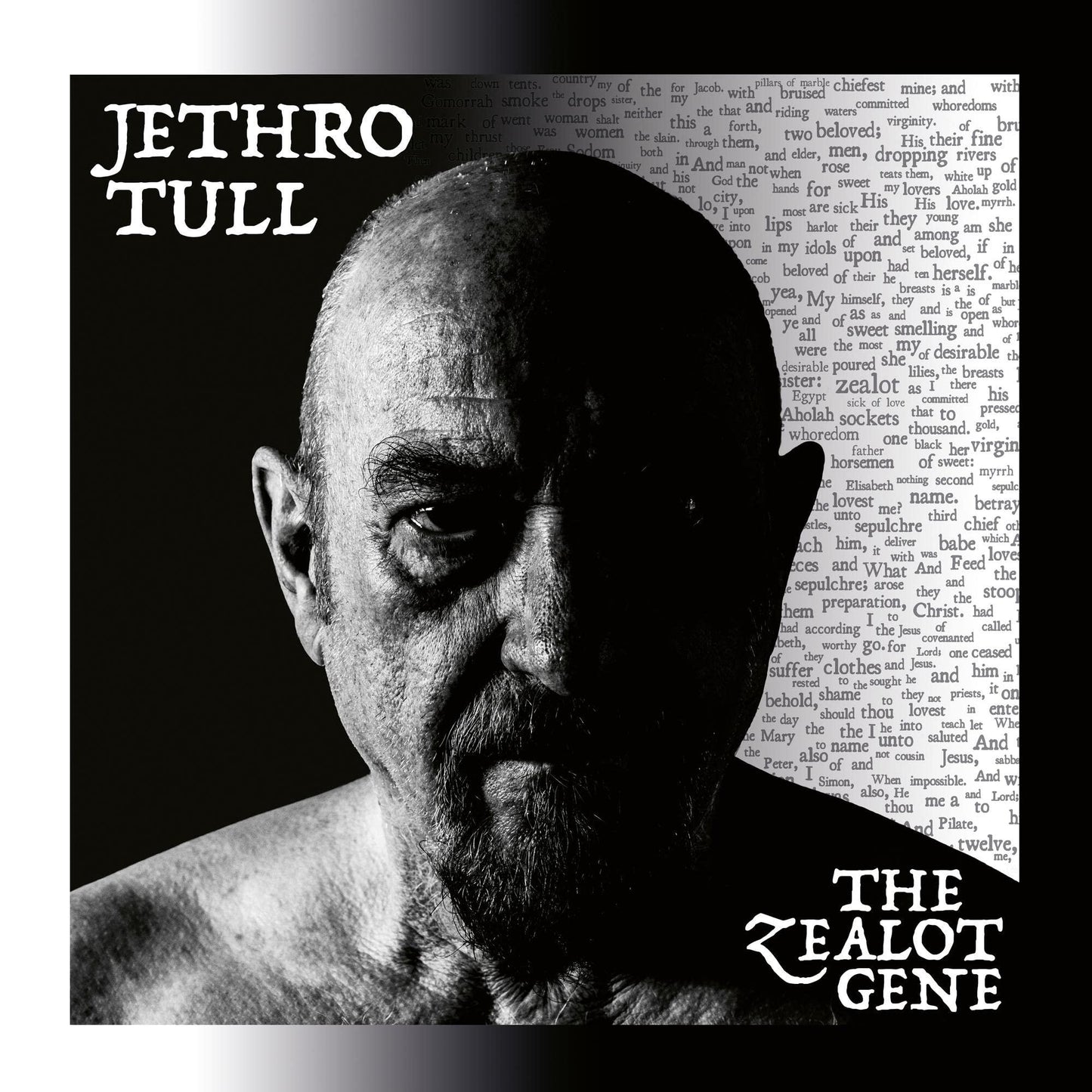 Jethro Tull - Zealot Gene - Cd