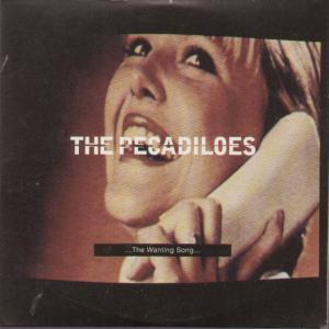 Pecadiloes - Wanting Song - Cd