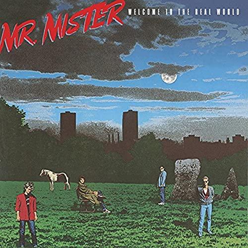Mr Mister - Welcome To the Real World - Cd