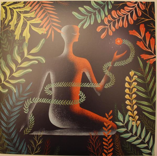 Loma - Don't Shy Away - Lp