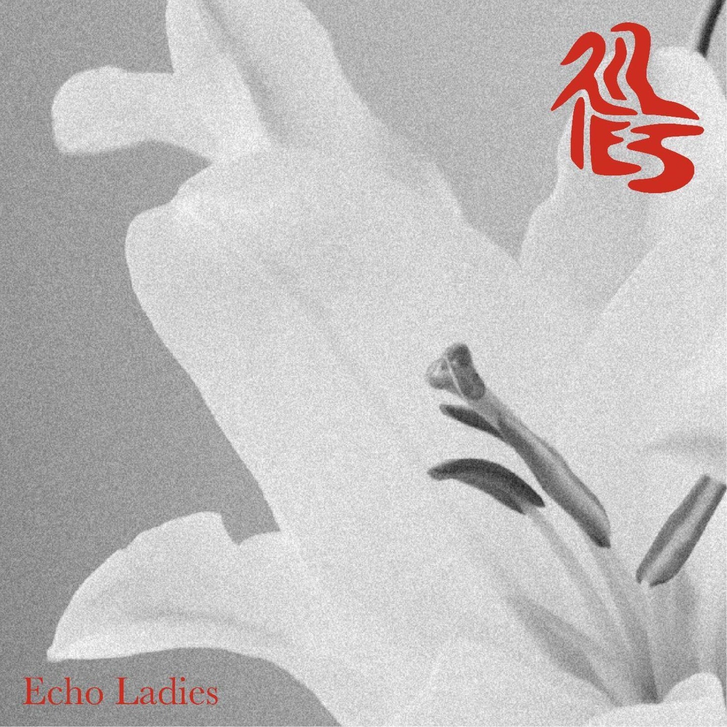 Echo Ladies - Lilies - Lp