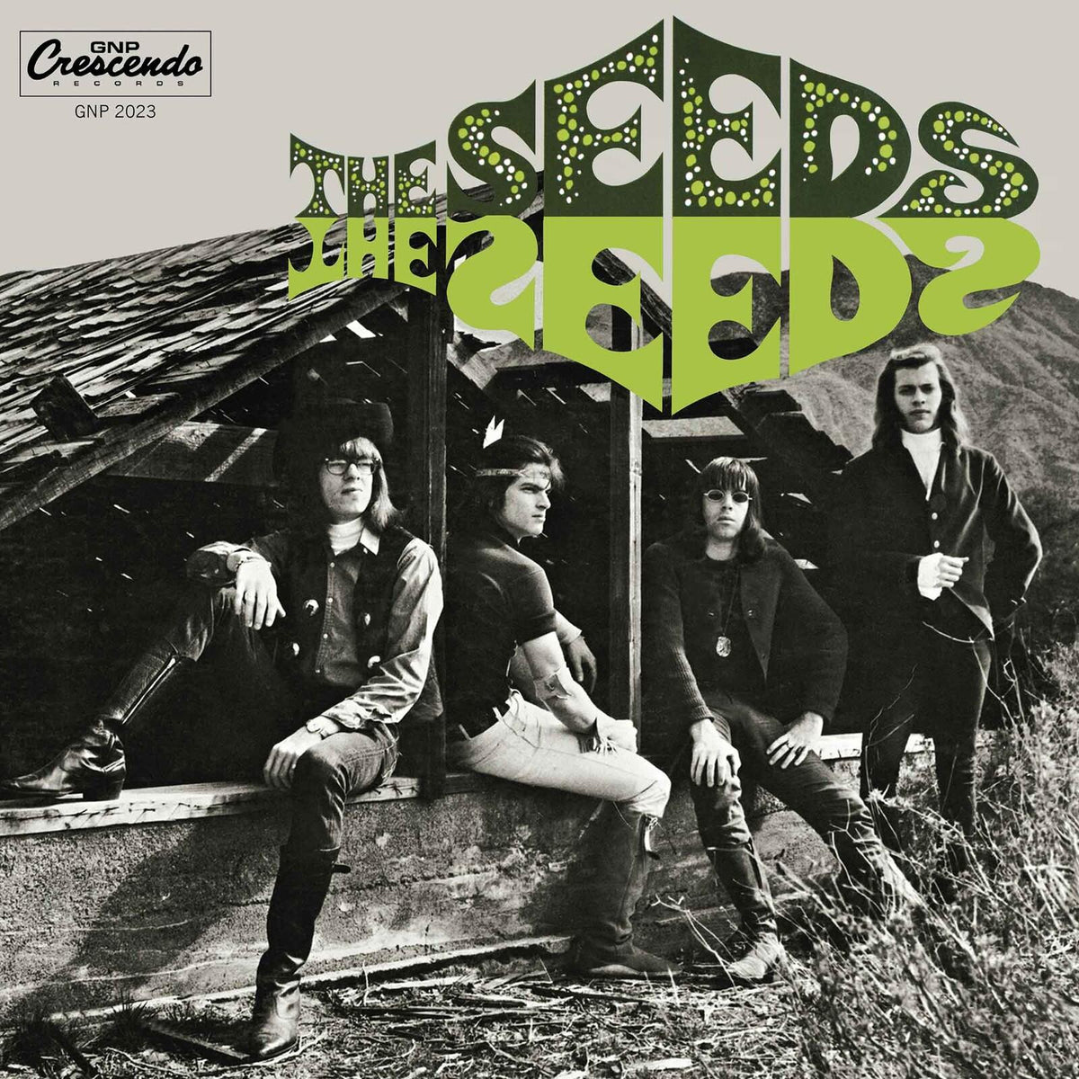 Seeds - Seeds - Lp