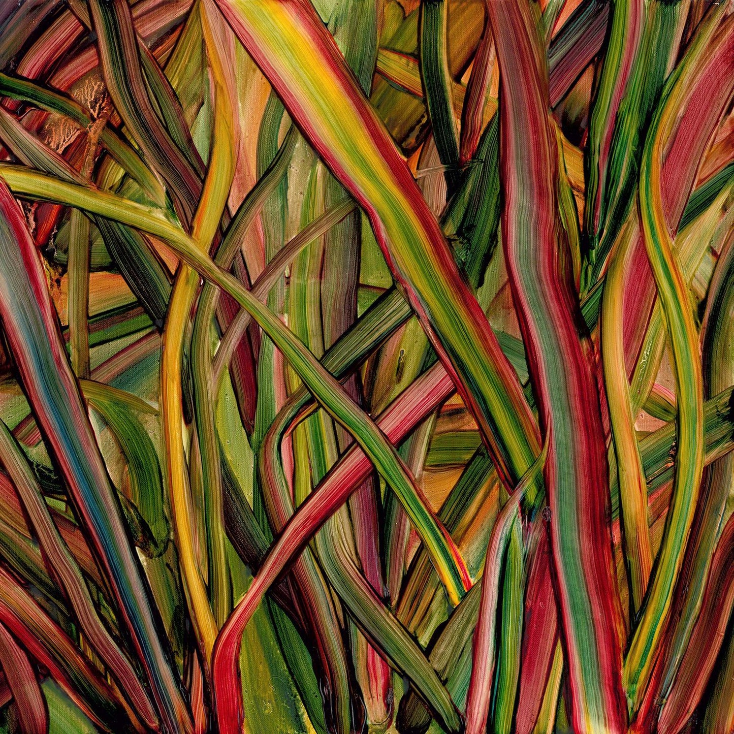Gengahr - Where Wildness Grows - Cd