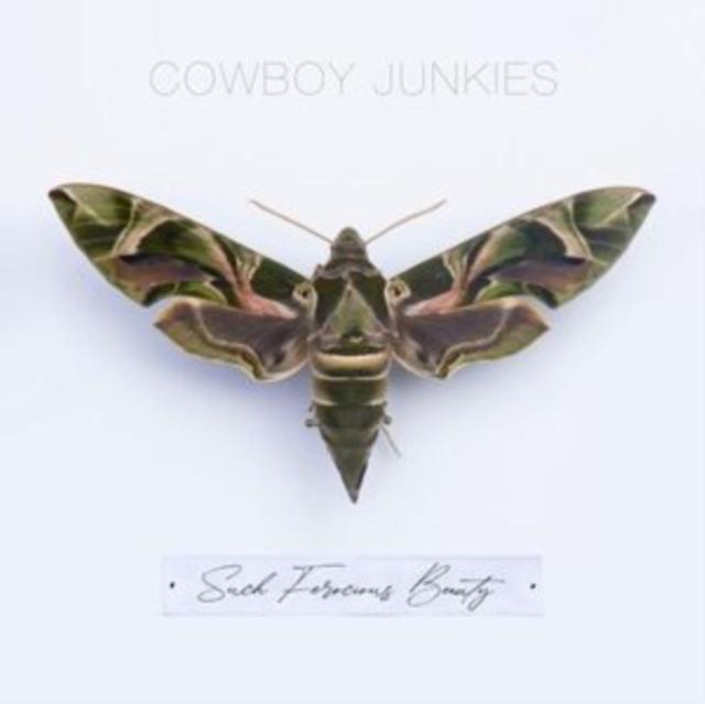 Cowboy Junkies - Such Ferocious Beauty - Cd