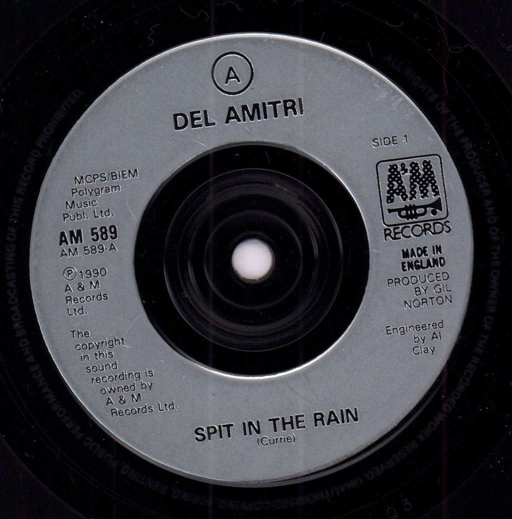 Del Amitri - Spit In The Rain - 7 Inch