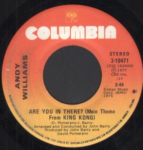 Andy Williams - Are You In There - 7 Inch