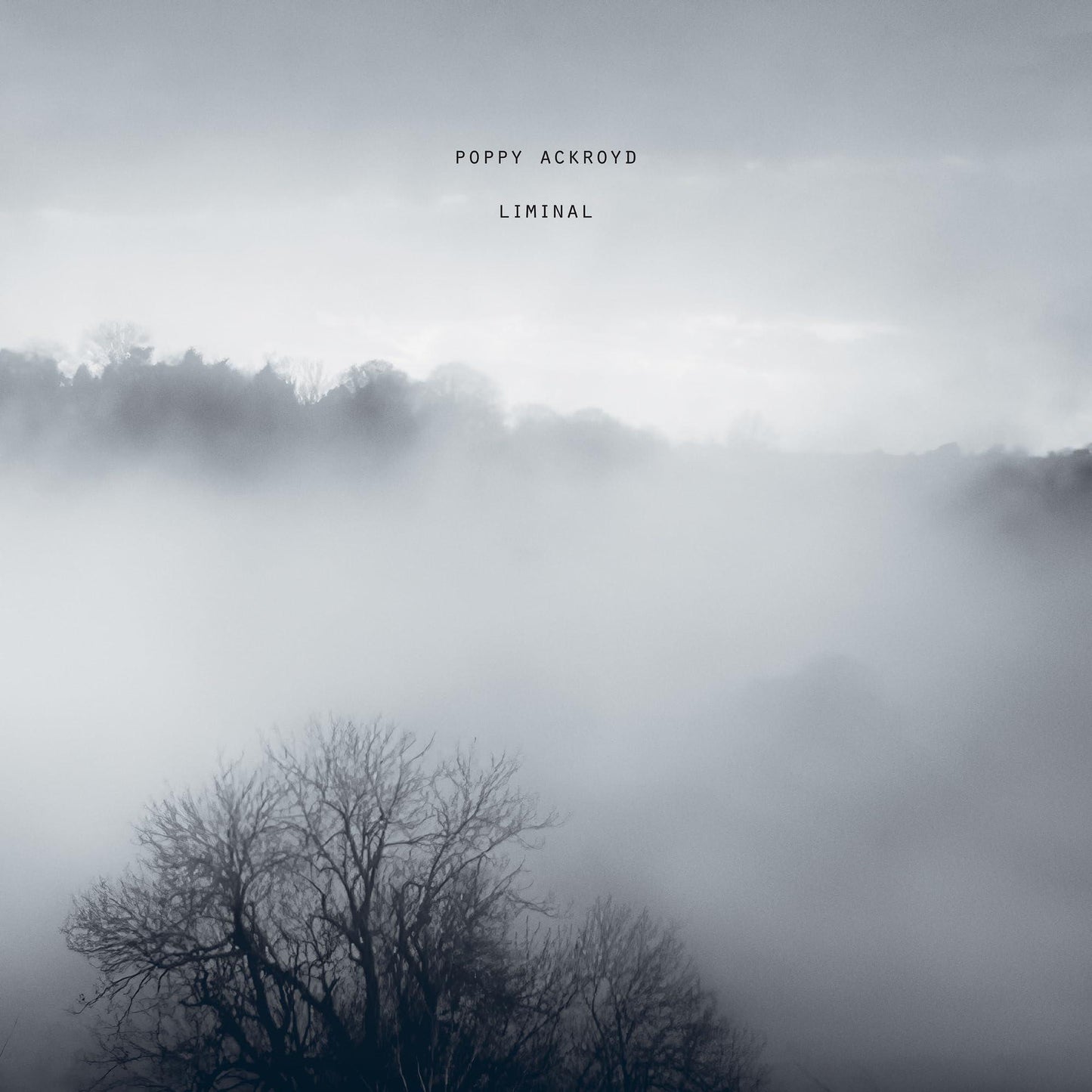 Poppy Ackroyd - Liminal - Cd