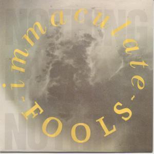 Immaculate Fools - Nothing Means Nothing - 7 Inch