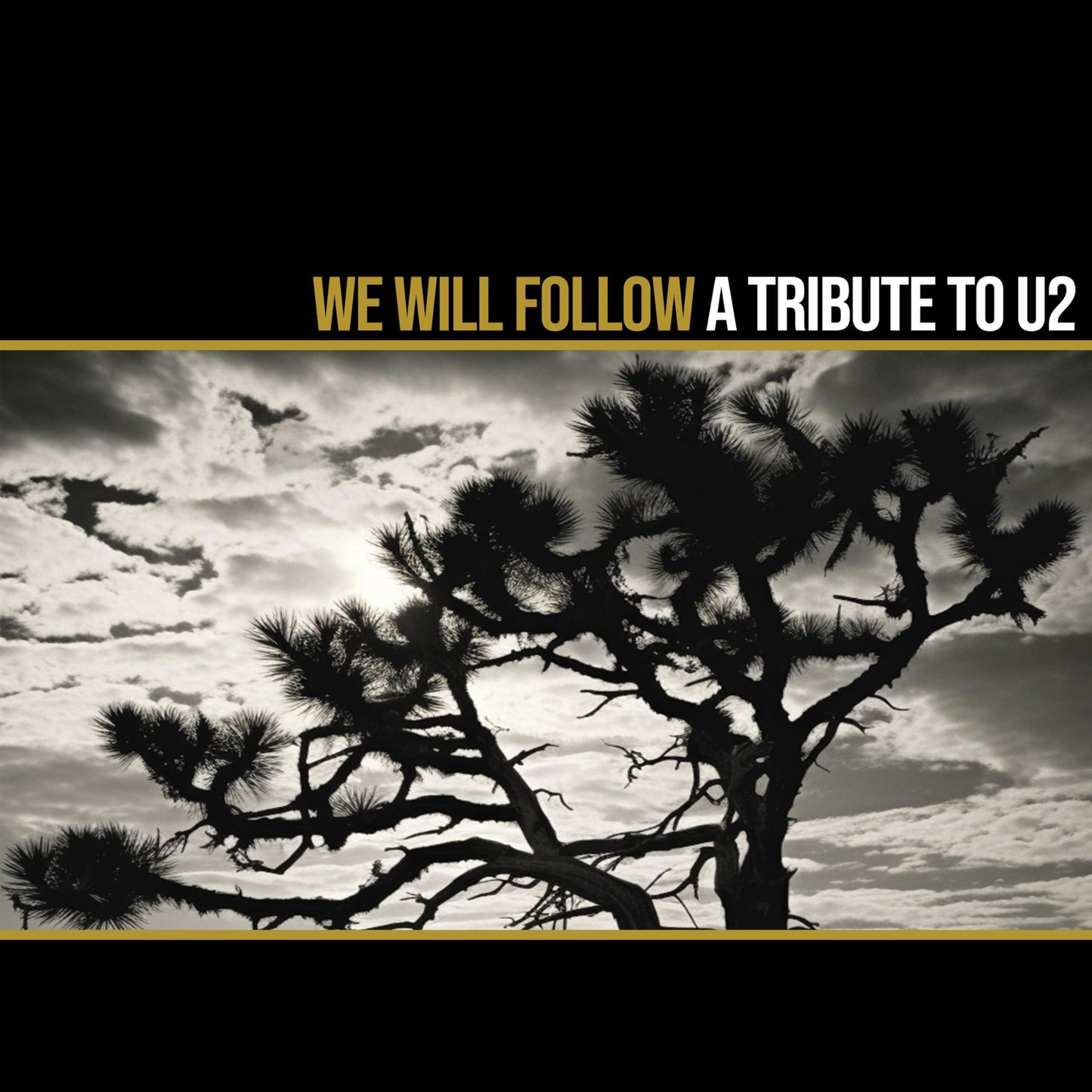Various Artists - We Will Follow - A Tribute To U2 - Lp