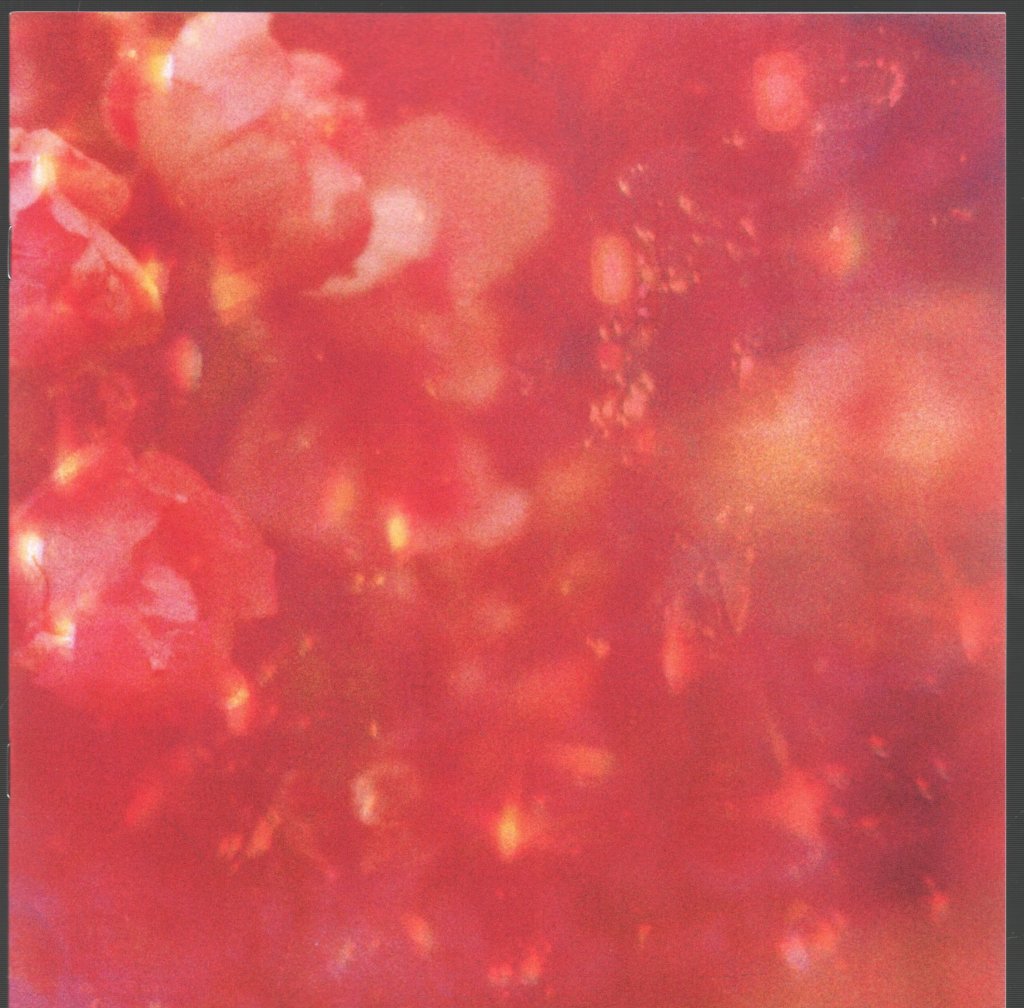 Midlake - A Bridge To Far - Lp