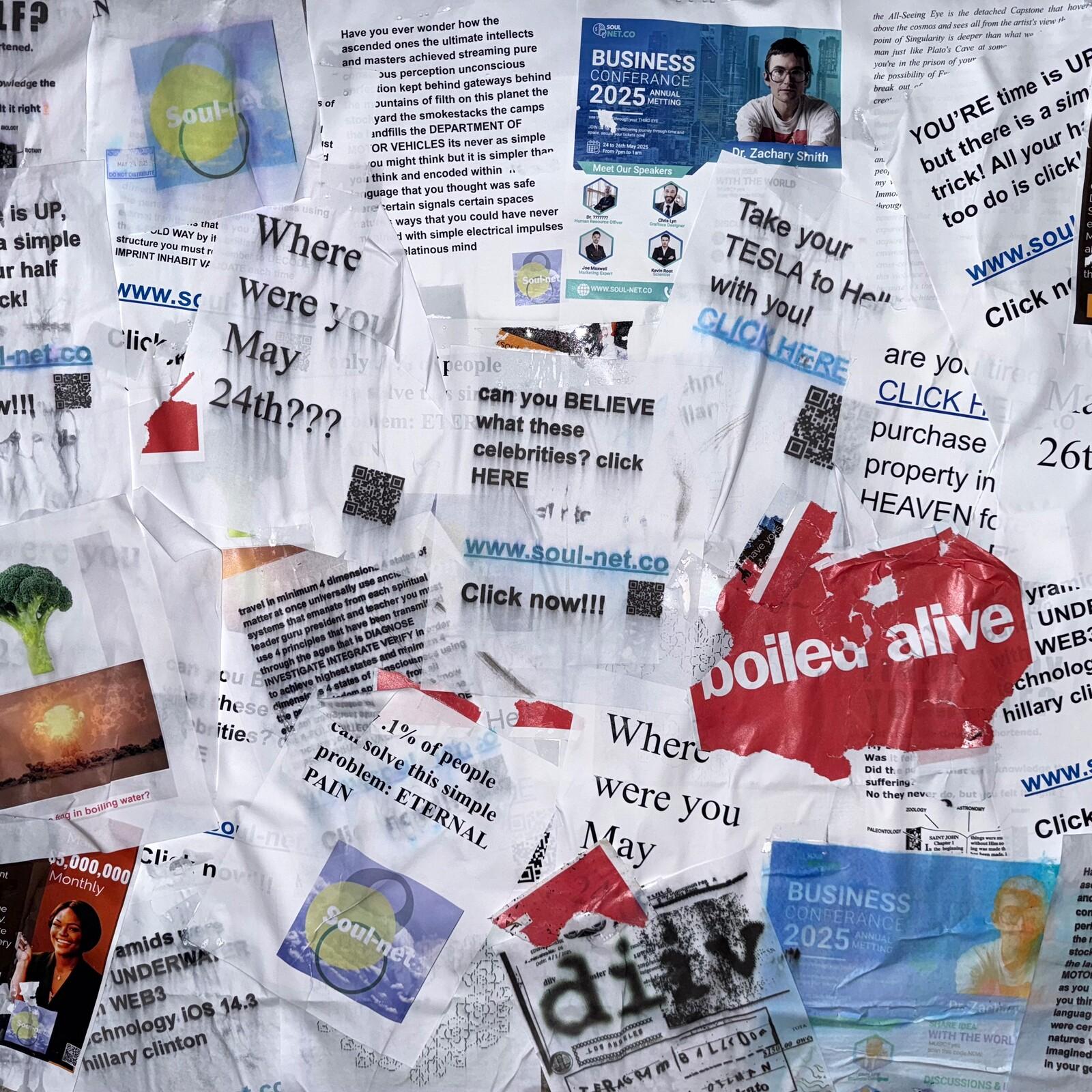 Diiv - Boiled Alive - Cd – Vinyl Tap