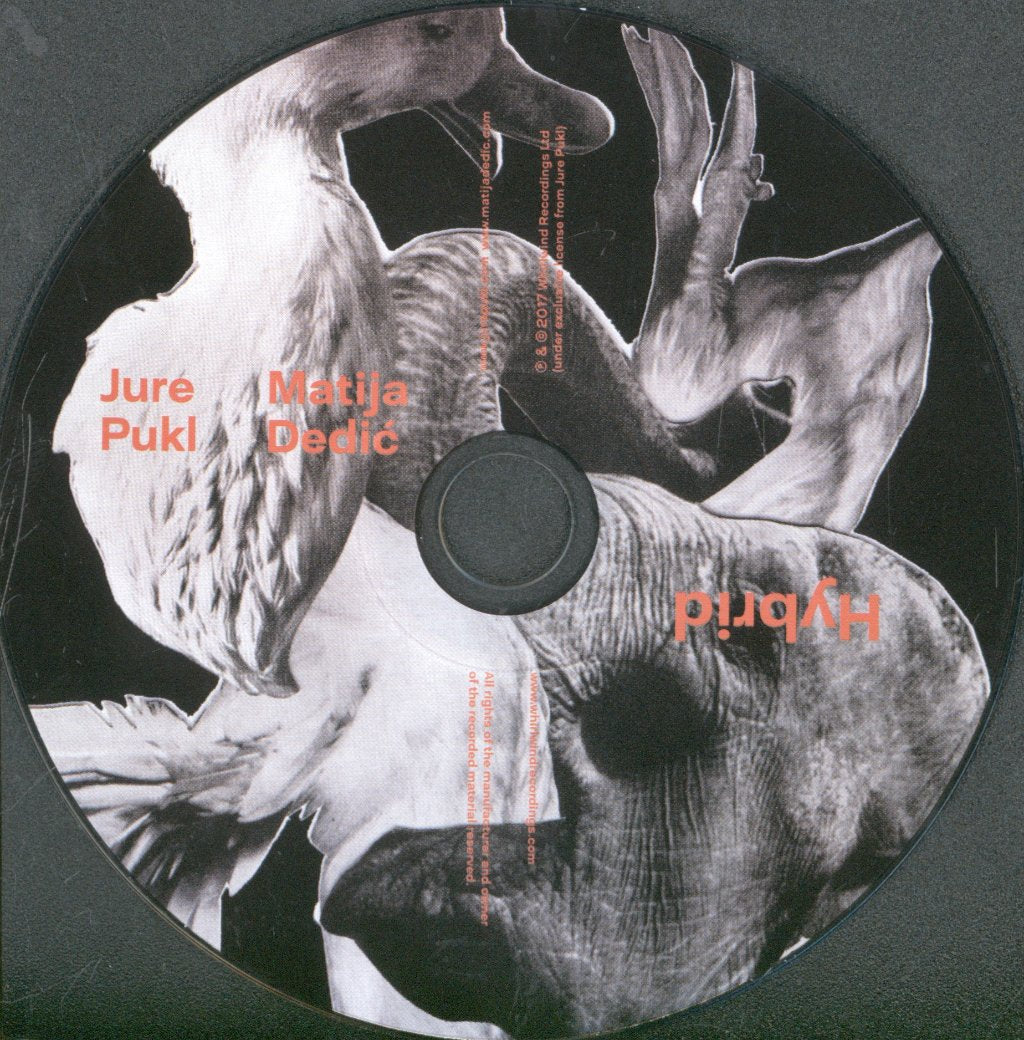 Jure Pukl and Matija Dedic - Hybrid - Cd