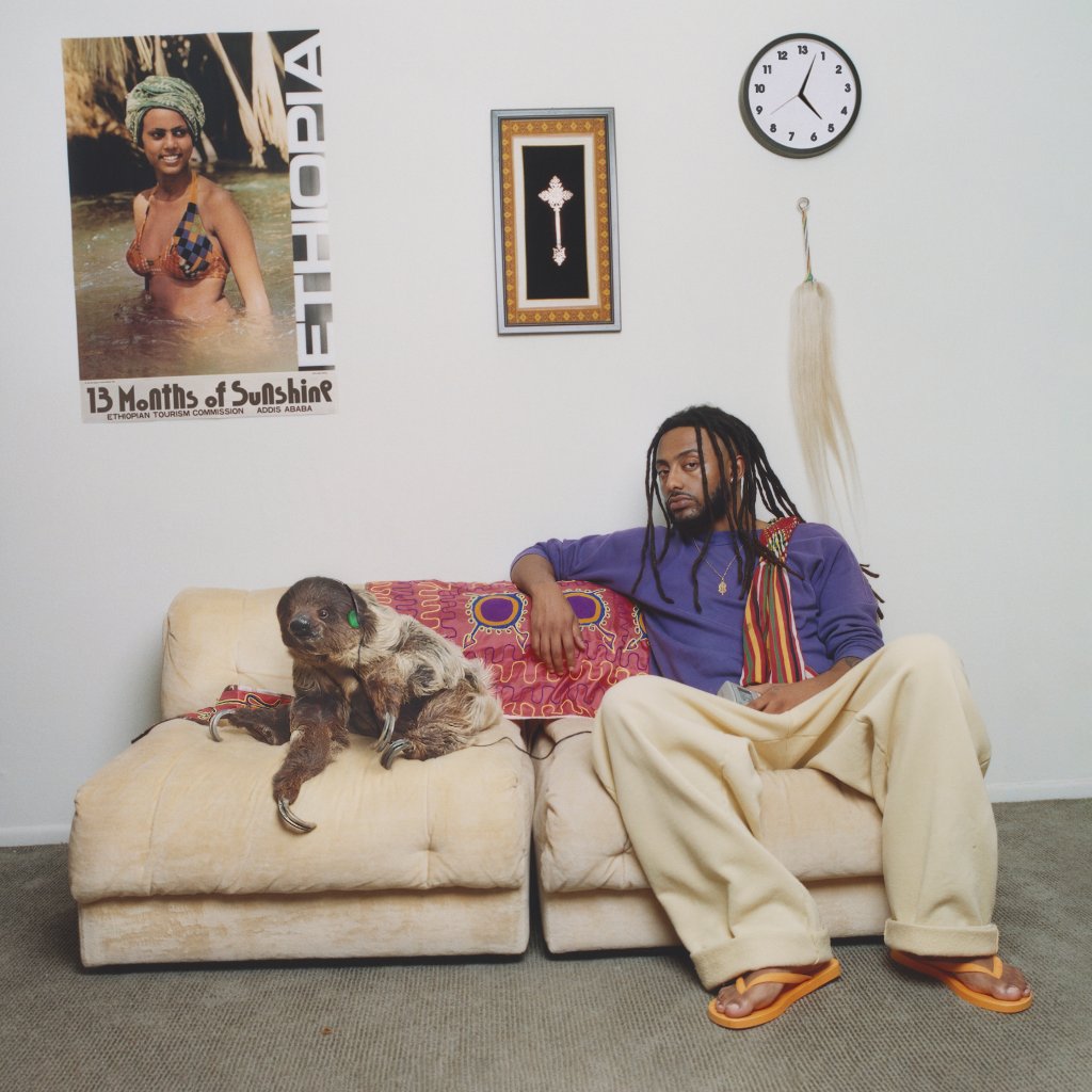 Aminé - 13 Months Of Sunshine - Double Lp