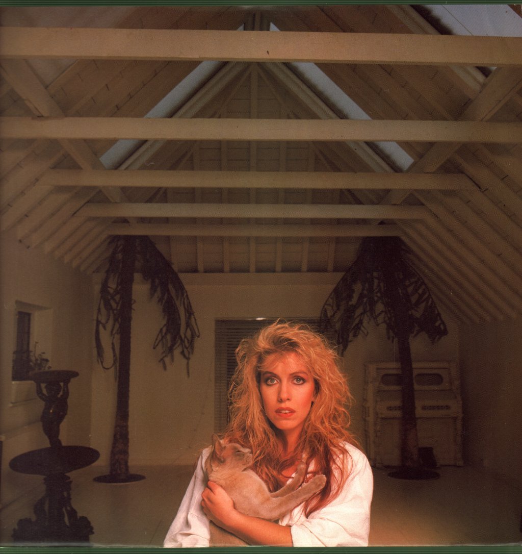 Judie Tzuke - Cat Is Out - Lp