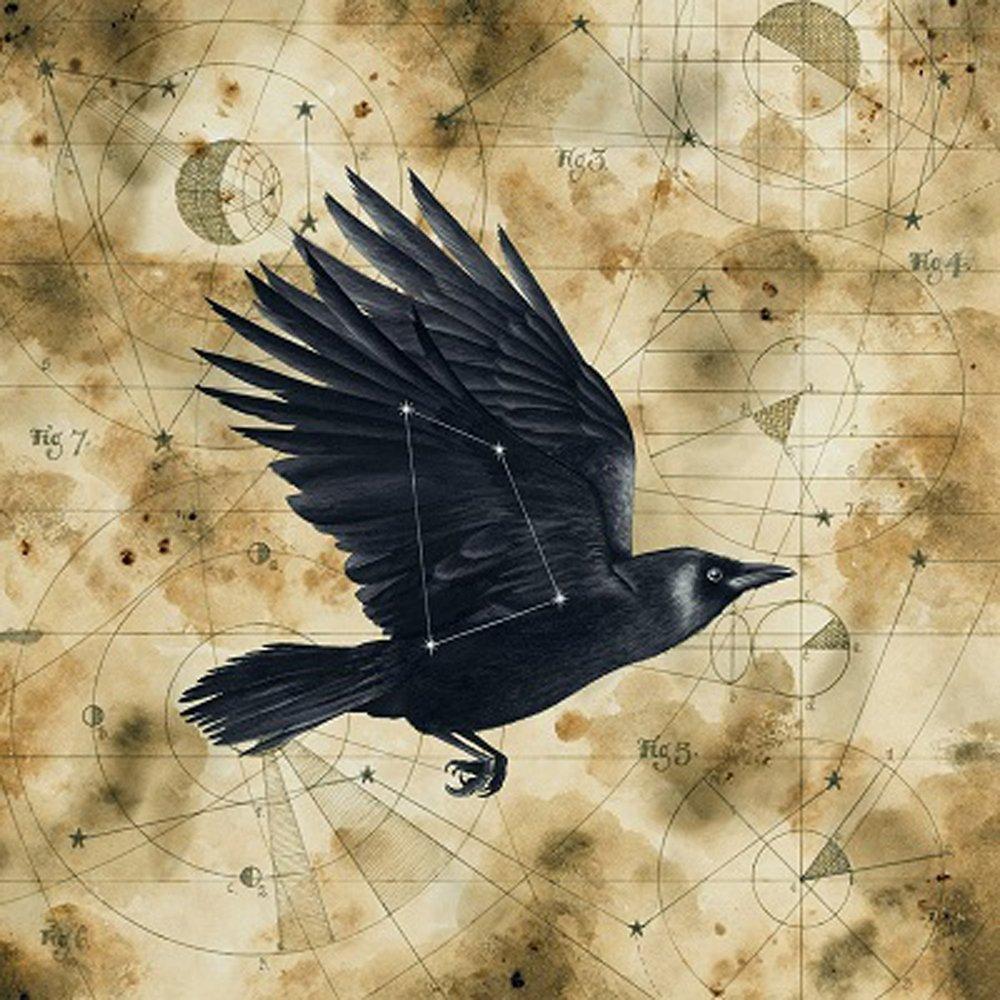 Big Big Train - Grimspound - Cd