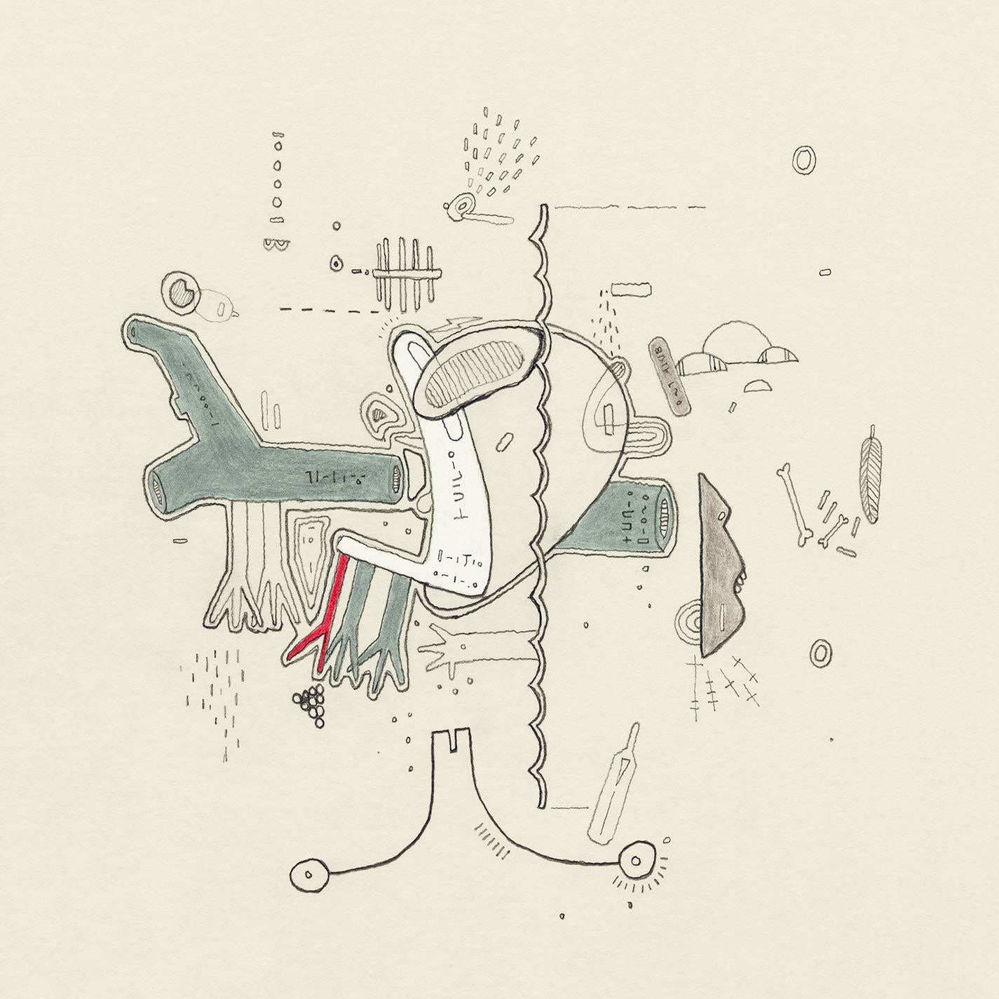 Various Artists - Tiny Changes: A Celebration of Frightened Rabbit's 'the Midnight Organ Fight - Lp