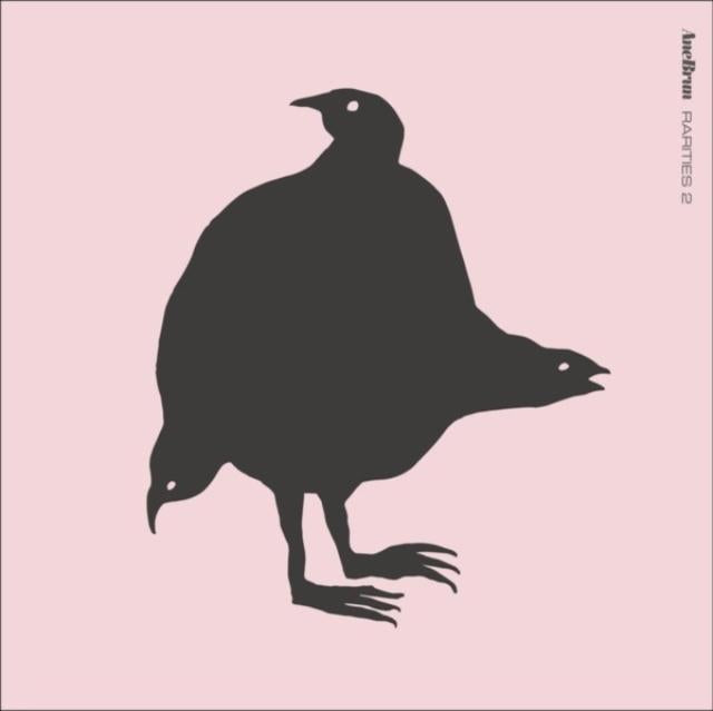 Ane Brun - Rarities 2 - Lp