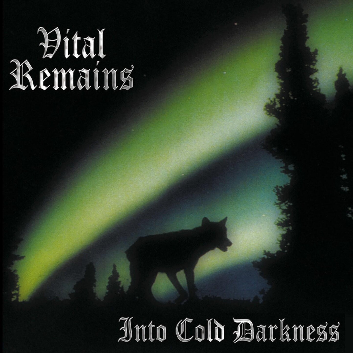 Vital Remains - Into Cold Darkness ( 30th Anni - Cd