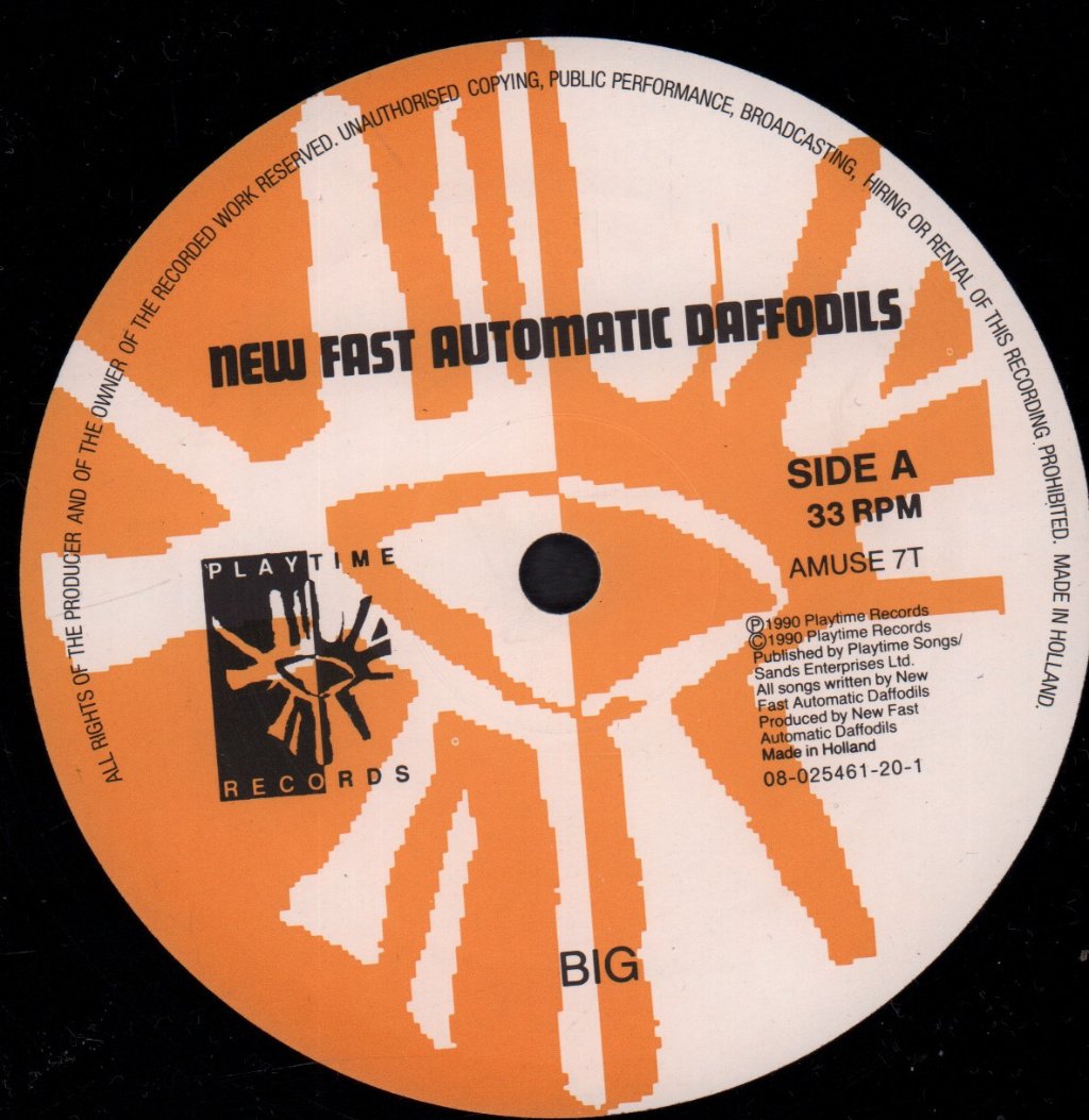 New Fast Automatic Daffodils (New Fads) - Big - 12 Inch