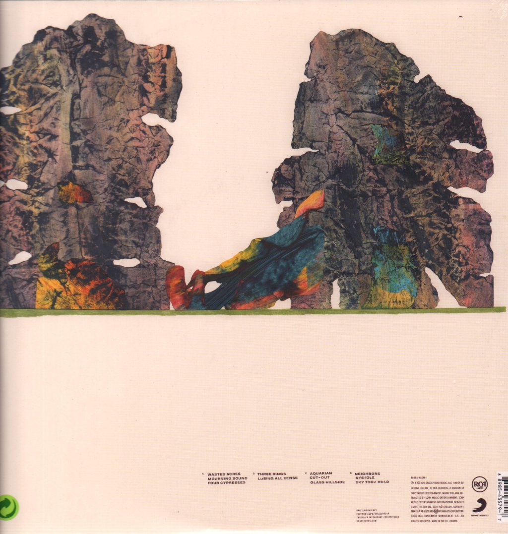 Grizzly Bear - Painted Ruins - Double Lp