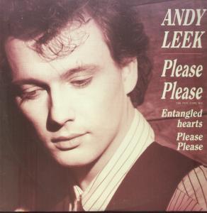 Andy Leek - Please Please - 12 Inch