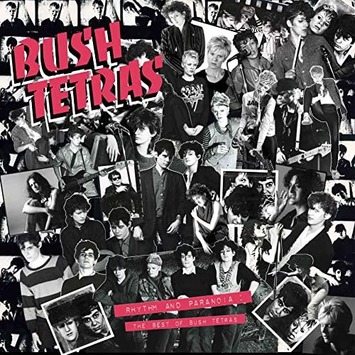 Bush Tetras - Rhythm and Paranoia: the Best of Bush Tetras - Double Cd