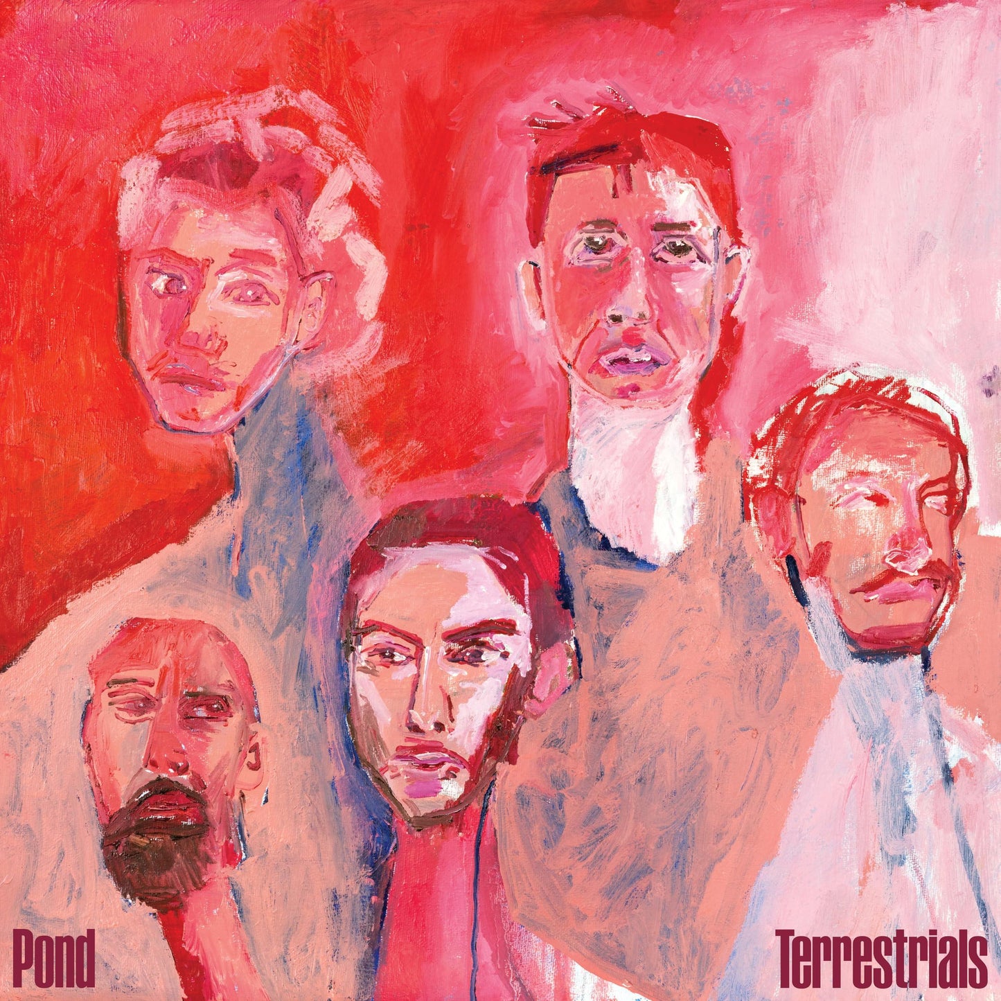 Pond - Terrestrials - Cd