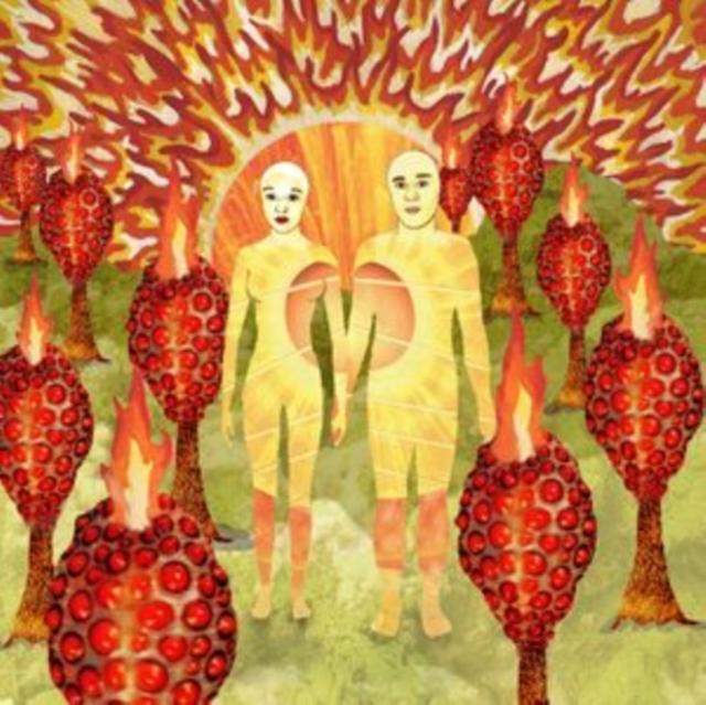 Of Montreal - Sunlandic Twins - Double Lp