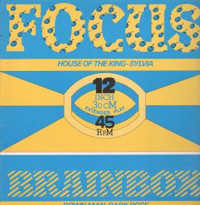 Focus/Brainbox - House Of King/Down Man - 12 Inch