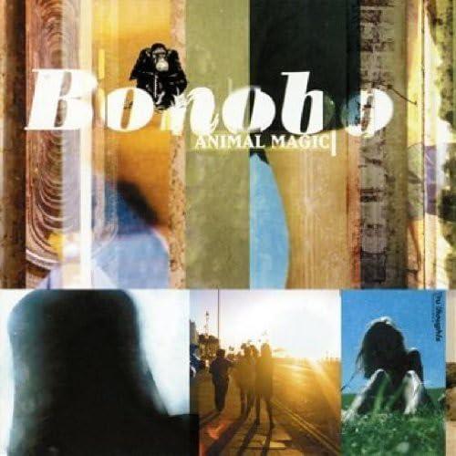 Bonobo - Animal Magic - Double Lp