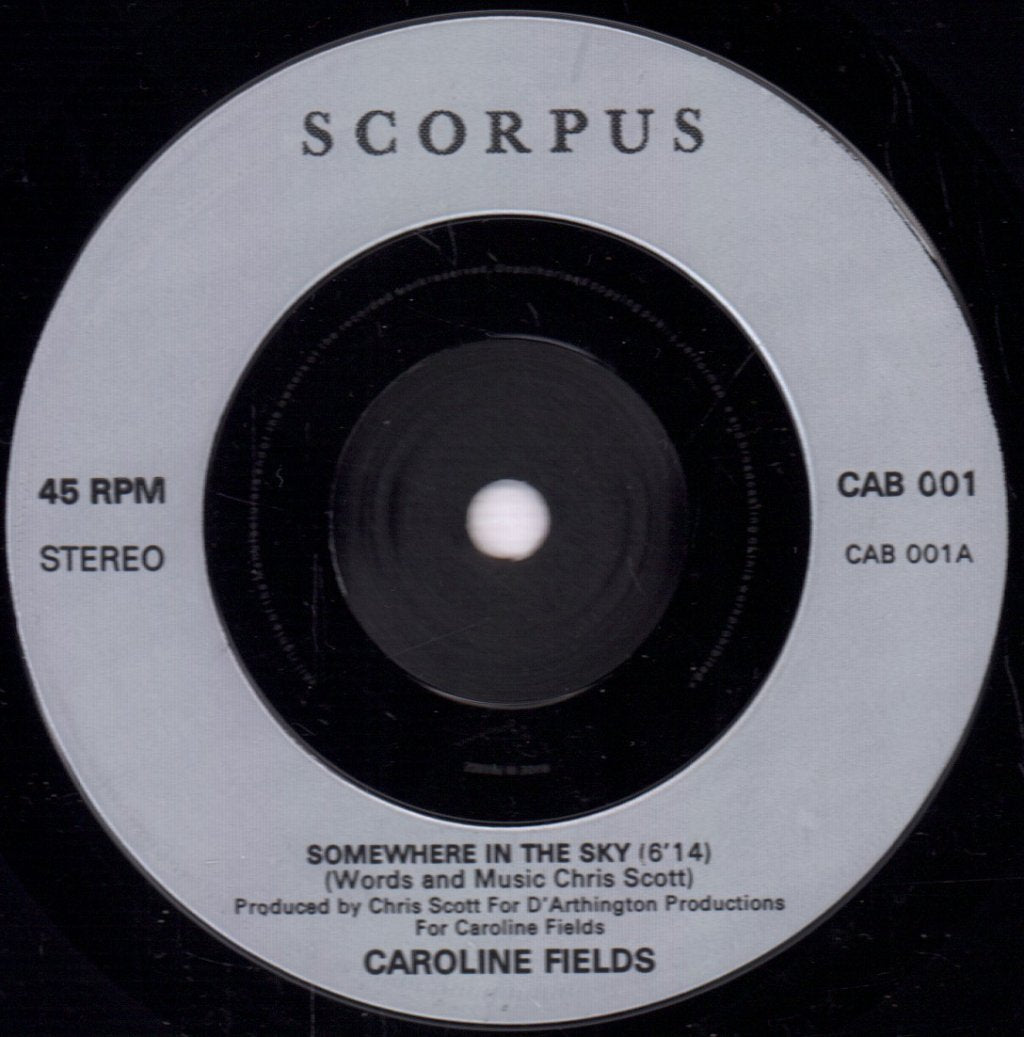 Caroline Fields - Somewhere In The Sky - 7 Inch